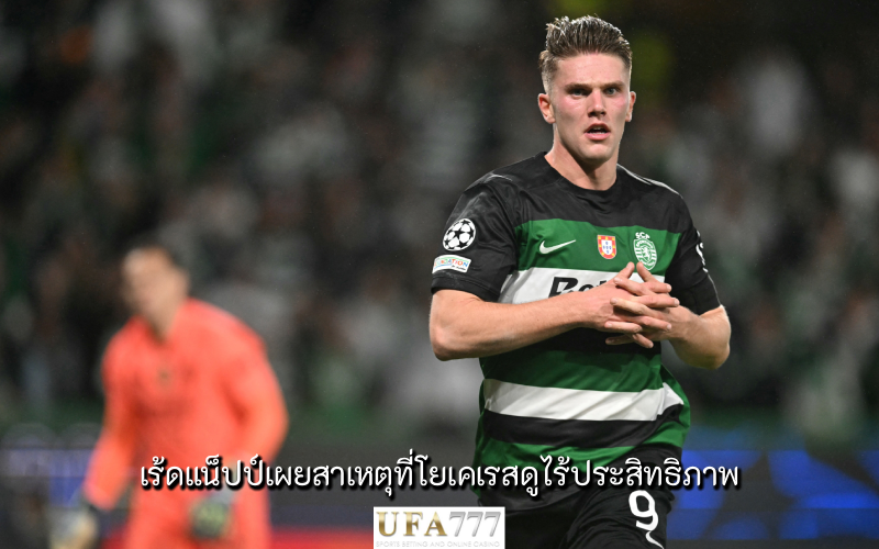 โยเคเรส