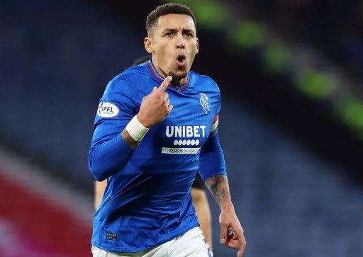 เจมส์ ทาเวอร์เนียร์