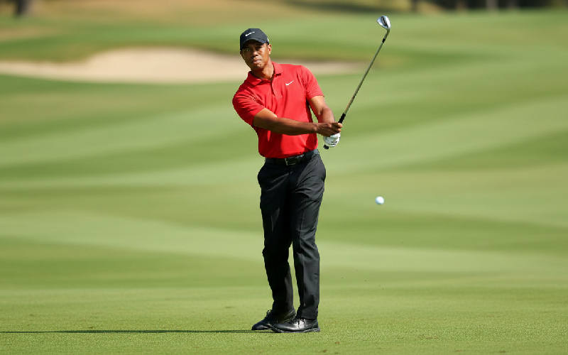 สกอตตี เชฟเฟลอร์ มือหนึ่งของโลก